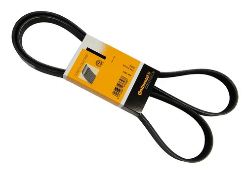 Conti keilrippenriemen 6pk2115 - conti,